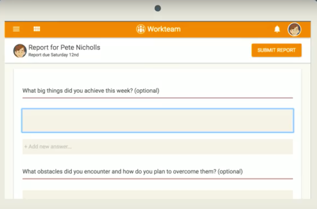 screenshot of Workteam Reports
